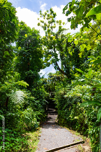 Nationalpark Guadeloupe