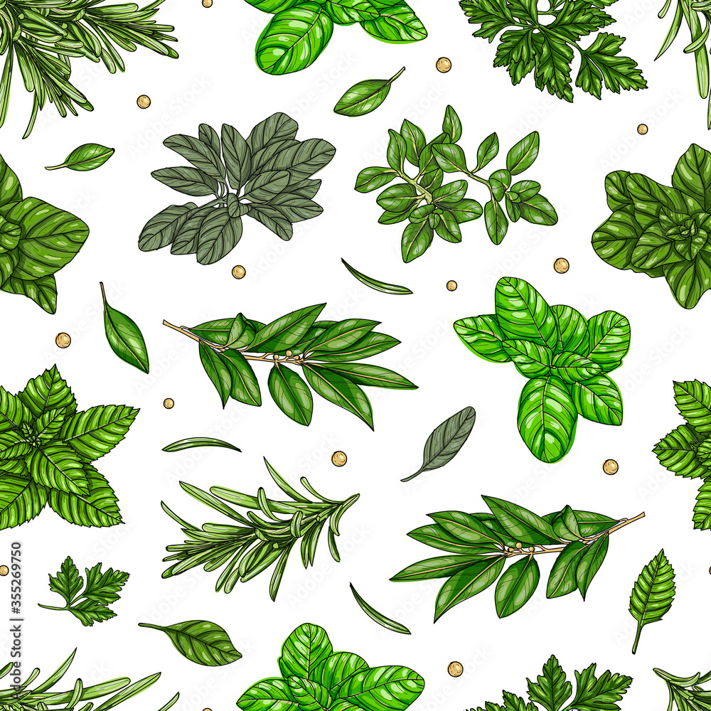 Seamless pattern, culinary herb, spices isolated on white background ...
