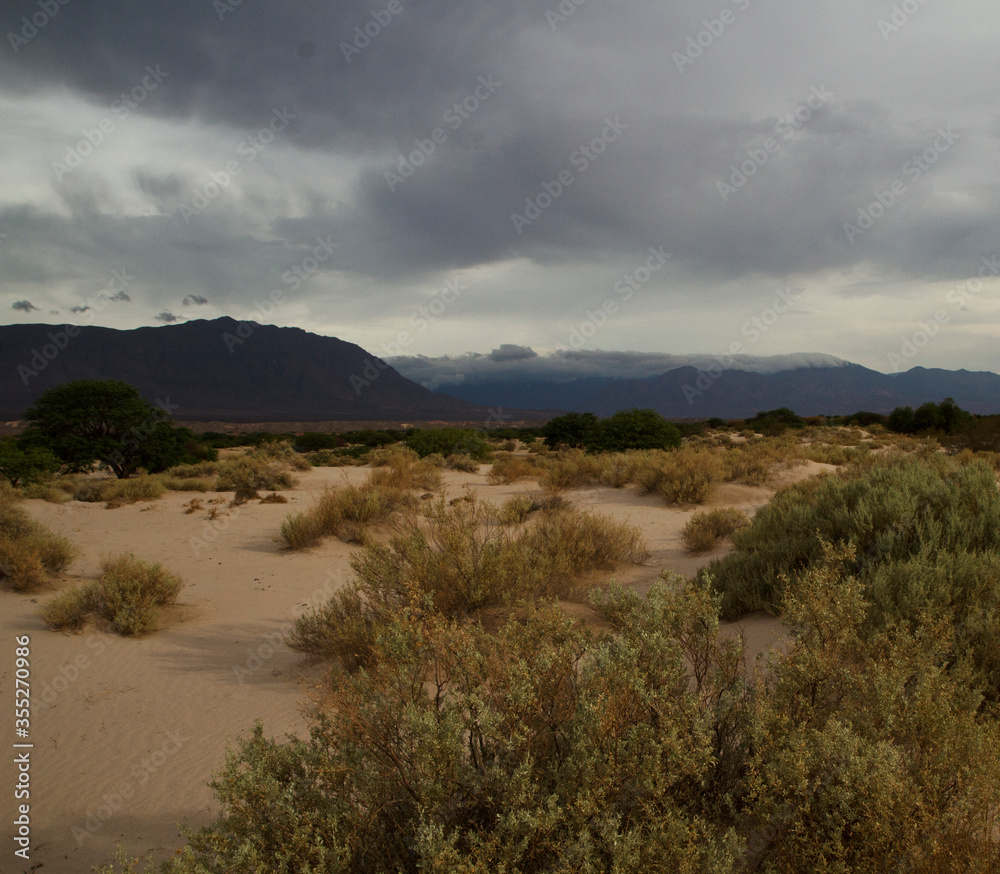 Arid desert landscape view. Sand, desert flora and mountains under a stormy sky