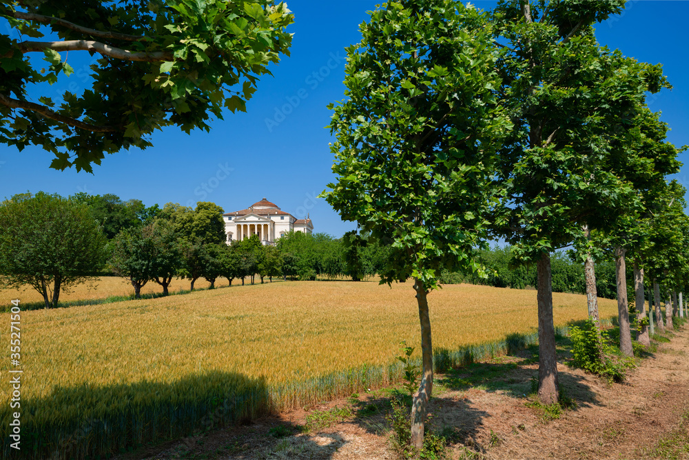 Crops in the countryside surrounding the city of Vicenza. In the background the masterpiece of the architect Andrea Palladio, the villa known as La Rotonda. A row of young trees a clear day, Italy.