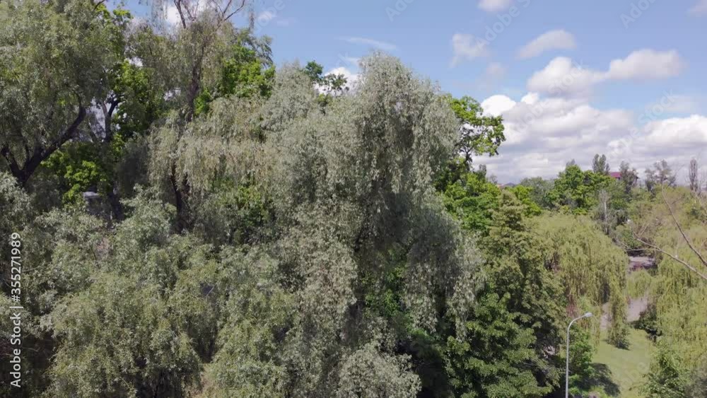 Park in the city aerial view green trees apartment buildings and clouds cityscape takeoff drone up movement Park in the city aerial view green trees apartment buildings and clouds cityscape takeoff drone up movement