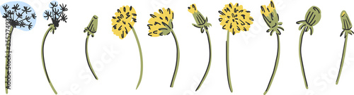 Dandelion flower childish vector illustration. Yellow flowers clip art elements isolated on white background.