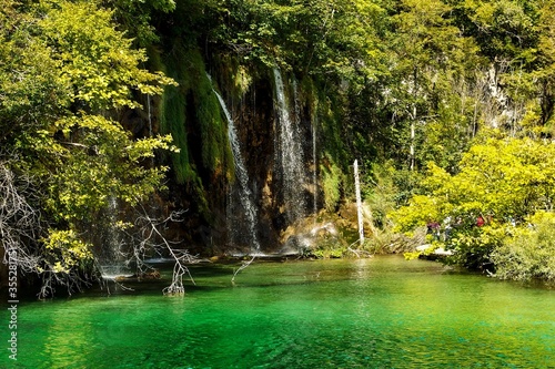 Fototapeta Naklejka Na Ścianę i Meble -  Landscape of waterfall and turquoise lake in the forest. Plitvice Lakes National Park. Nacionalni park Plitvicka Jezera, one of the oldest and largest national parks in Croatia. UNESCO World Heritage.