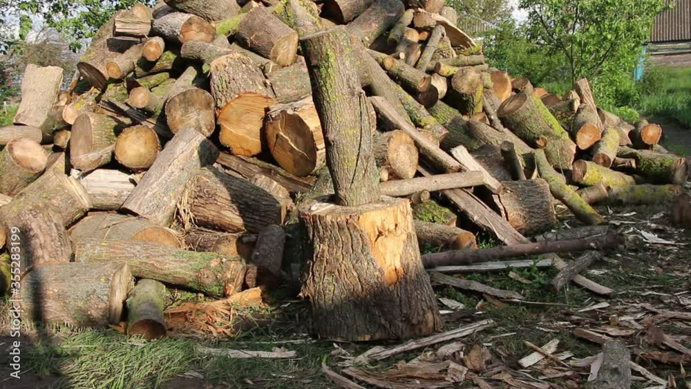 Skilled lumberjack the master of the ax. Woodcutter in the countryside. Skilled lumberjack the master of the ax. Woodcutter in the countryside.