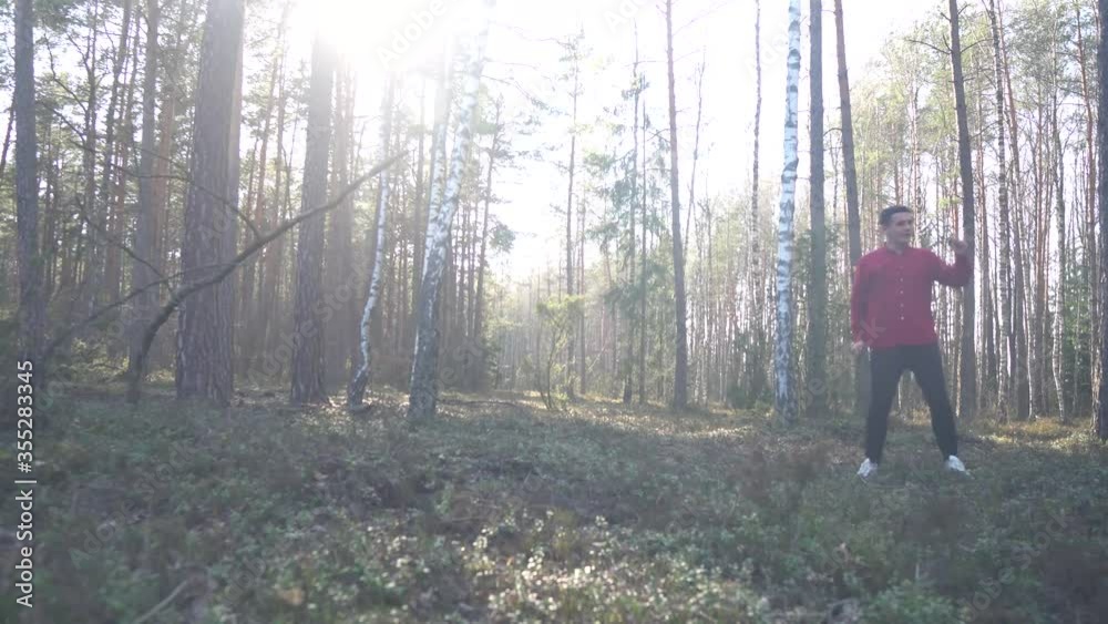 Forest. Meditative video of the forest. Walking through the forest in the first person. Outdoor recreation. Untouched nature. Forest. Meditative video of the forest. Walking through the forest in the first person. Outdoor recreation. Untouched nature.