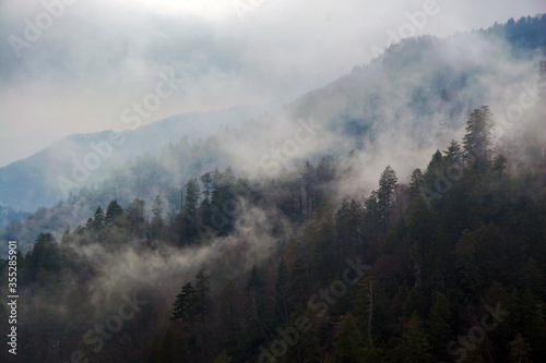 Mountain Clouds at Newfound Gap, Smoky Mountains National Park, Tennessee, USA © Anna