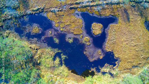 Top-down view on colorful autumn forest, golden meadows and swamps. Orto view on marsh and spruce trees. Photo taken in middle Poland near Warsaw in ecological park.