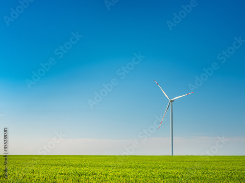 view to wind turbine in green wheat field under blue sky with copy space in sunshine day