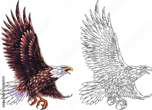 American national eagle in flight. Vector illustration