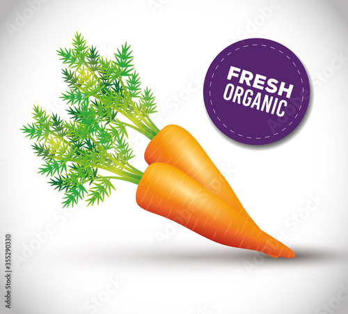 healthy carrot, fresh vegetable organic vector illustration design