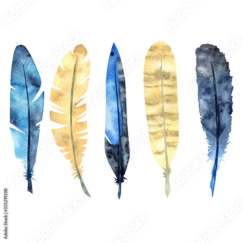 Set of watercolor bird feathers.