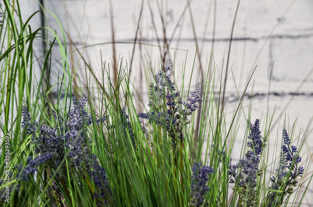 Obraz premium Lavender flowers as decoration at white brick wall background.