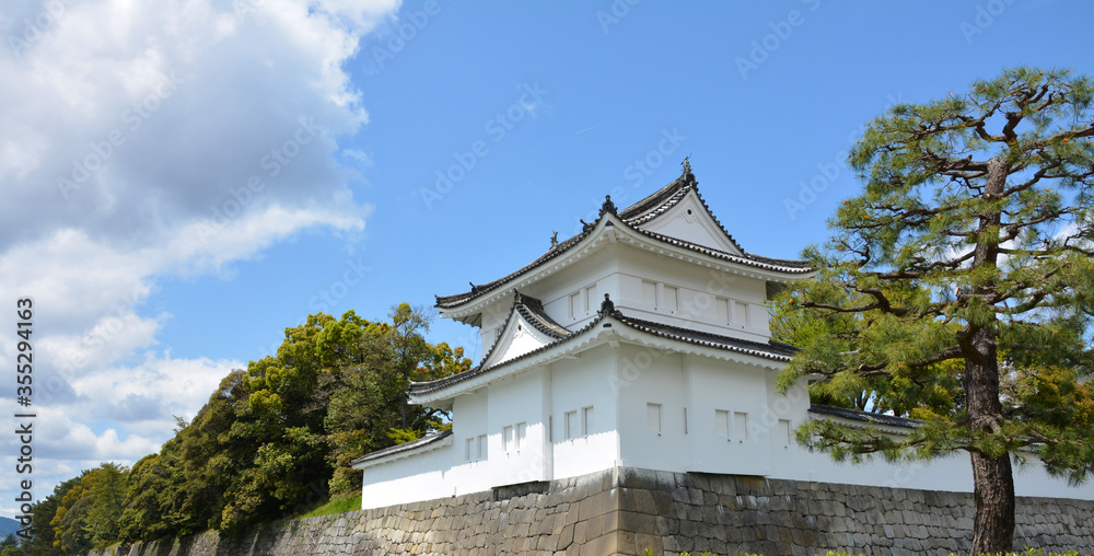 Turret of a palace with a pine tree at side Turret of a palace with a pine tree at side