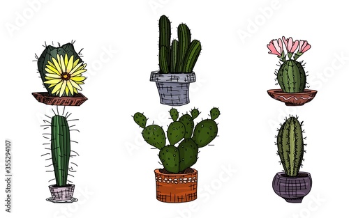 cactus collection in color vibrant. Doodle sketch