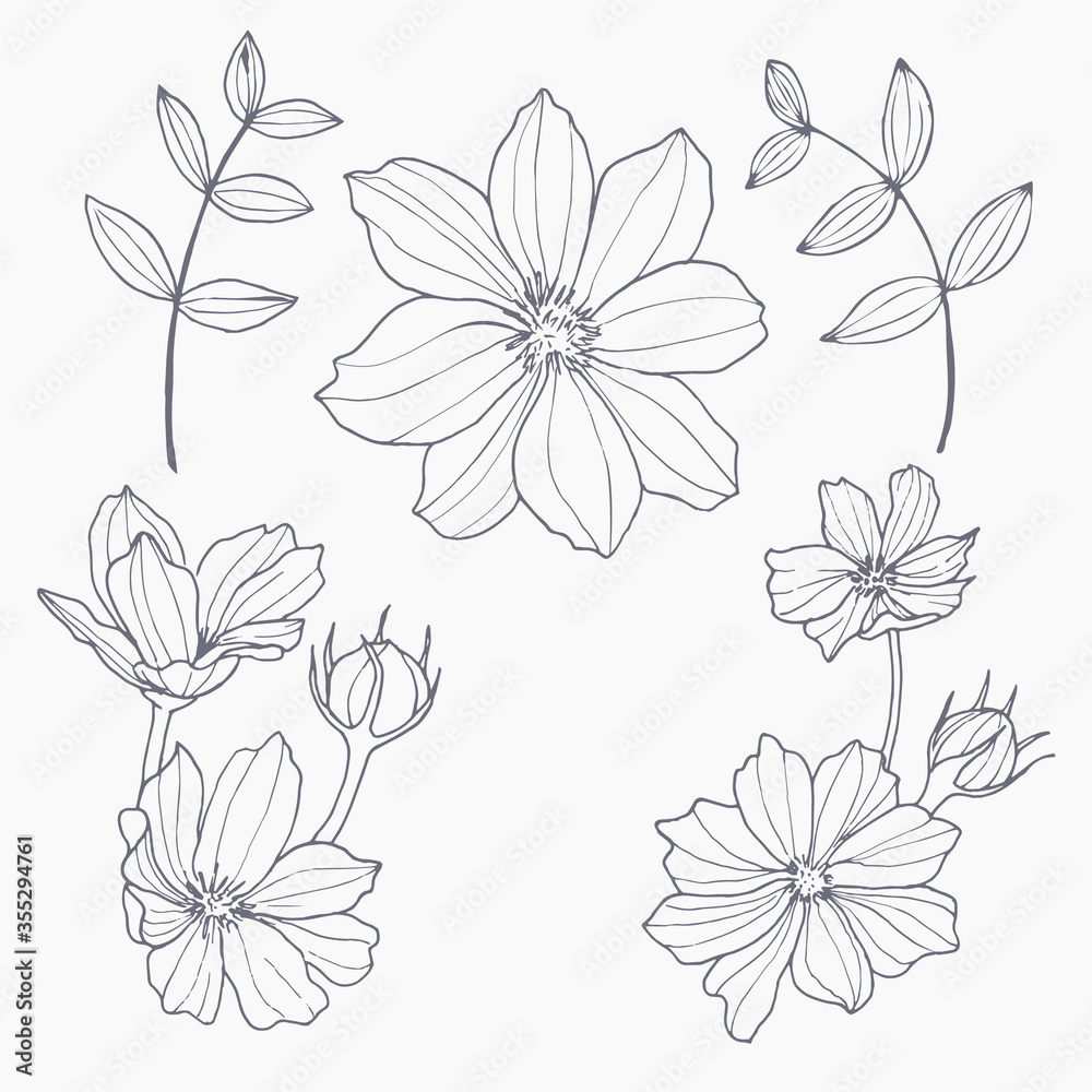 Plakat Ręcznie rysowane kwiaty i liście na białym tle.