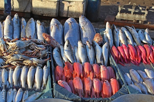 Beautiful Colorful fresh fish presentation in open market in Egypt