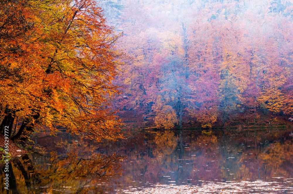Yedigoller National Park, Autumn views. Bolu, Turkey. Yedigoller National Park, Autumn views. Bolu, Turkey.
