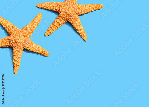 Summer concept with starfish overhead view - flat lay © Tierney