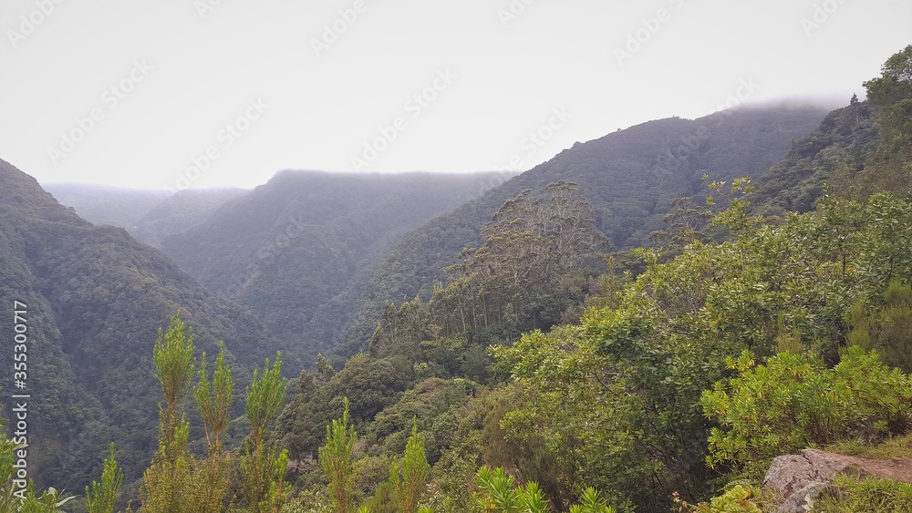 Fototapeta premium Madère vallée central da Janela