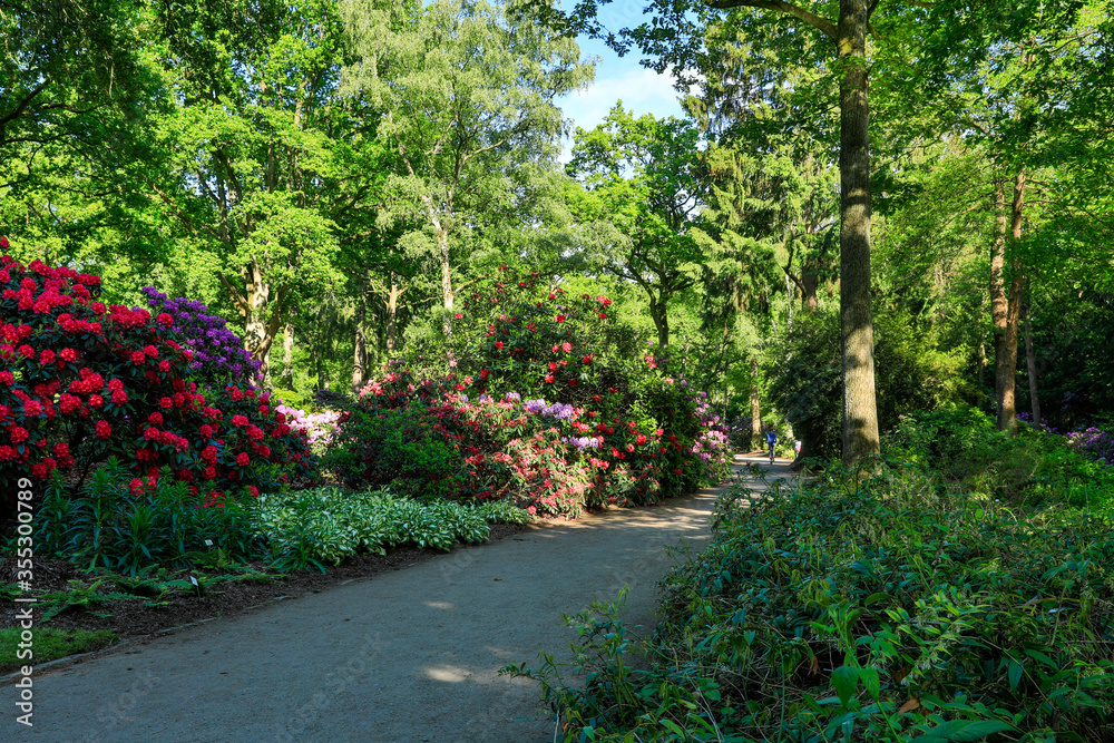 path in the park path in the park
