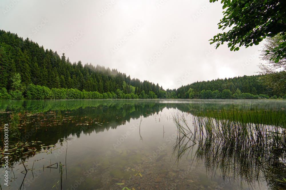 beautiful reflection photo in Lake shavshat