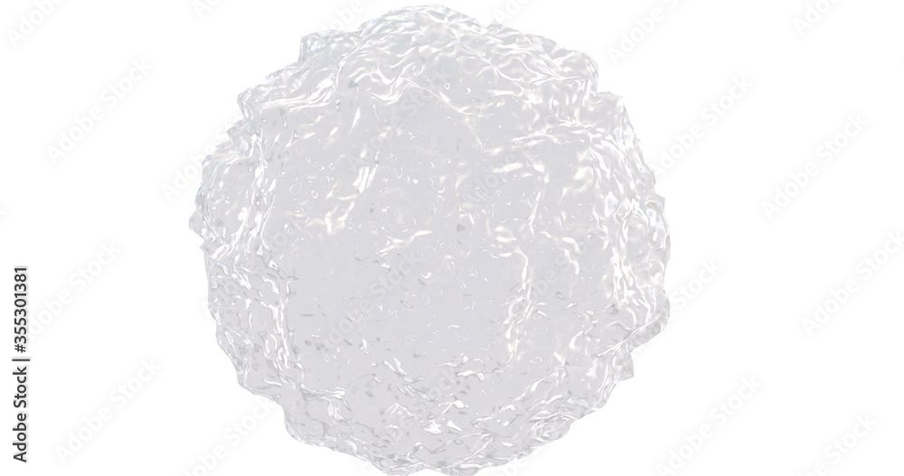 White blood cell 3D concepts moving randomly.
White blood cell 3D concepts moving randomly.