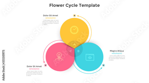 Modern Infographic Options Template