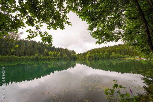 beautiful reflection photo in Lake shavshat