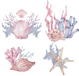 Watercolor set of sealife arrangements with seashells, seaweed, starfish. Marine illustrations.