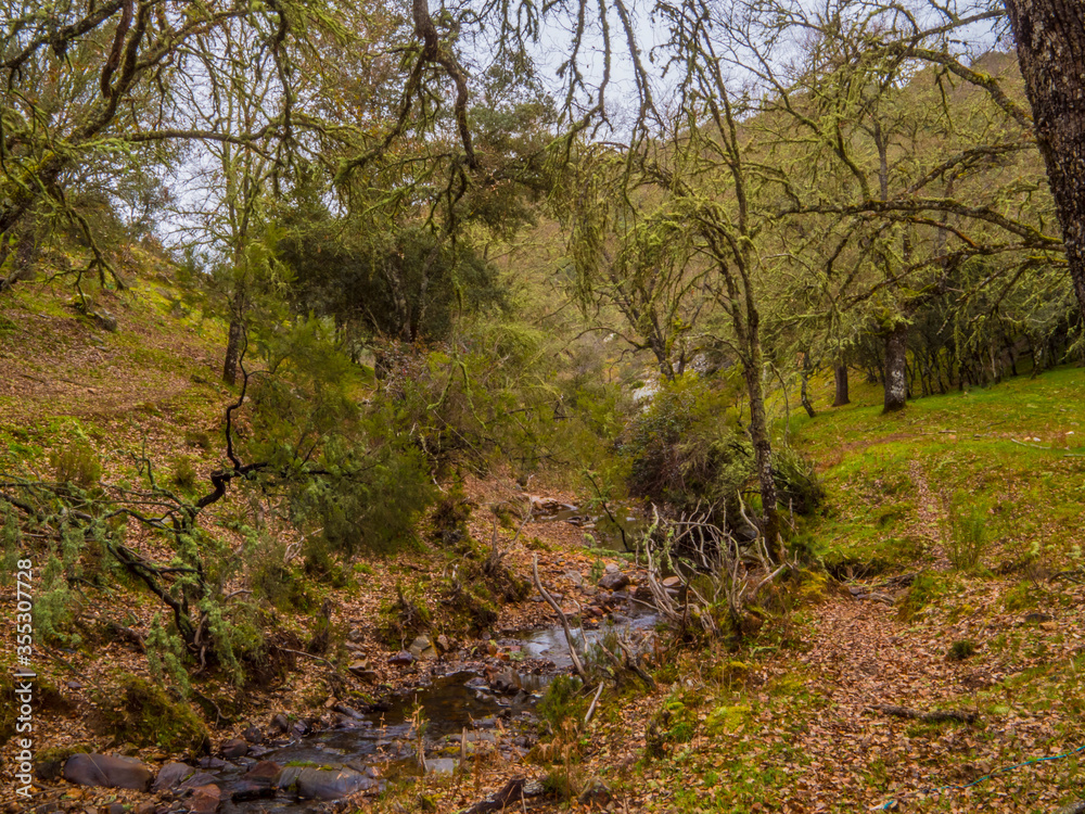 ARROYO ARROYO