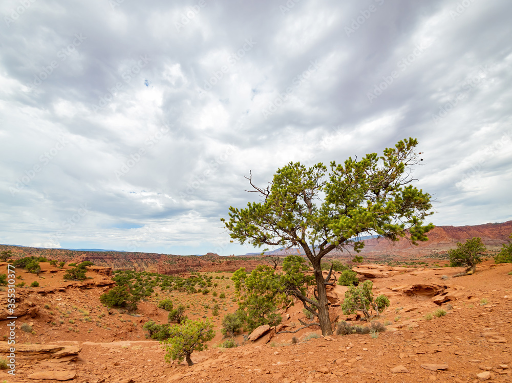 Beautiful landscape around the Panorama Point of Capitol Reef National Park Beautiful landscape around the Panorama Point of Capitol Reef National Park