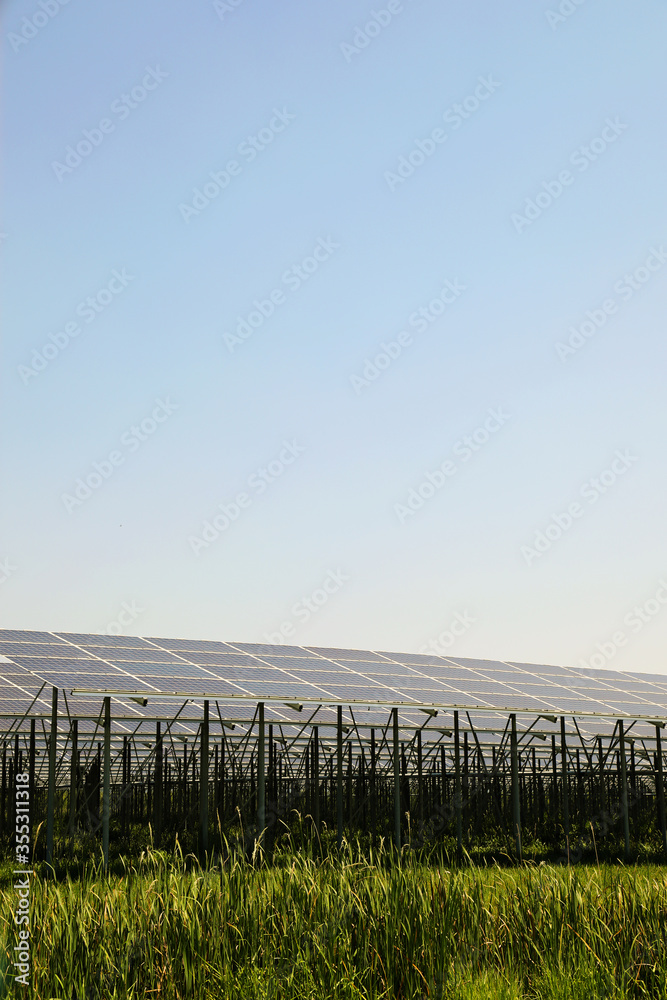 A large solar farm in Queensland, Australia