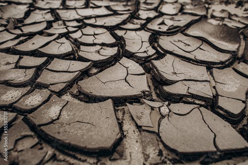 cracked gray bark earth drought desert doomsday