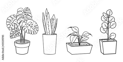 Houseplants vector illustration set - outline indoor flowers in pots with leaves. Line art doodle drawings isolated on white background for floral design. EPS 10 format