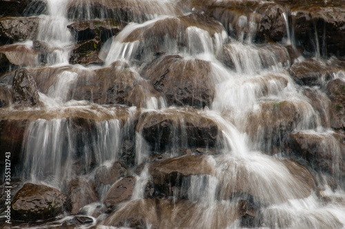 Cascade at Oregon Garden