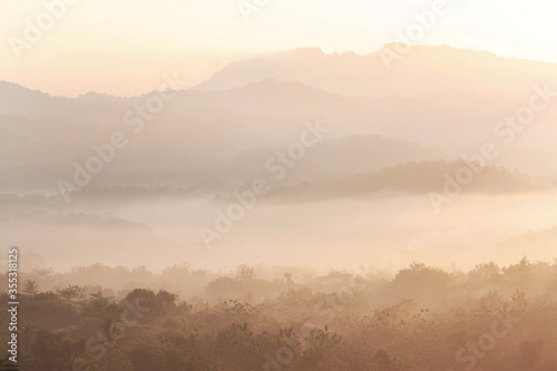 Misty morning in the ireng mountains © multi
