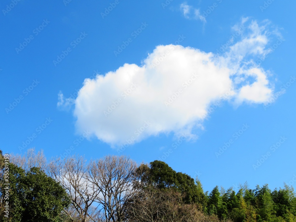 Obraz premium 日本の田舎の風景 1月 真冬の山の木々と青空と雲