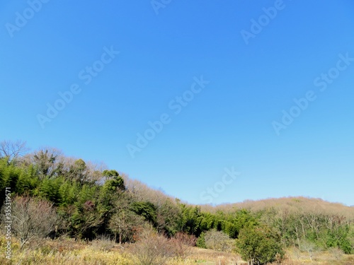 日本の田舎の風景 1月 真冬の山の木々と青空
