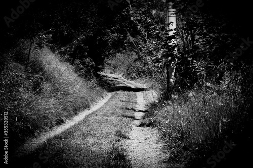 black and white photo of a road that is lost in the darkness of the countryside