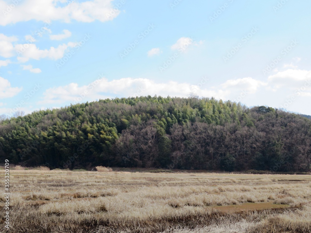 日本の田舎の風景 1月 真冬の田んぼと山の木々 日本の田舎の風景 1月 真冬の田んぼと山の木々