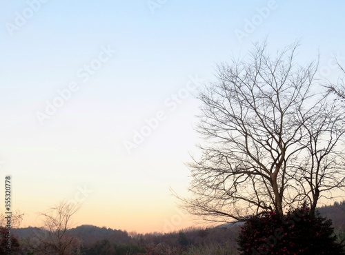 日本の田舎の風景 1月 真冬の朝日と山の木々 朝焼け