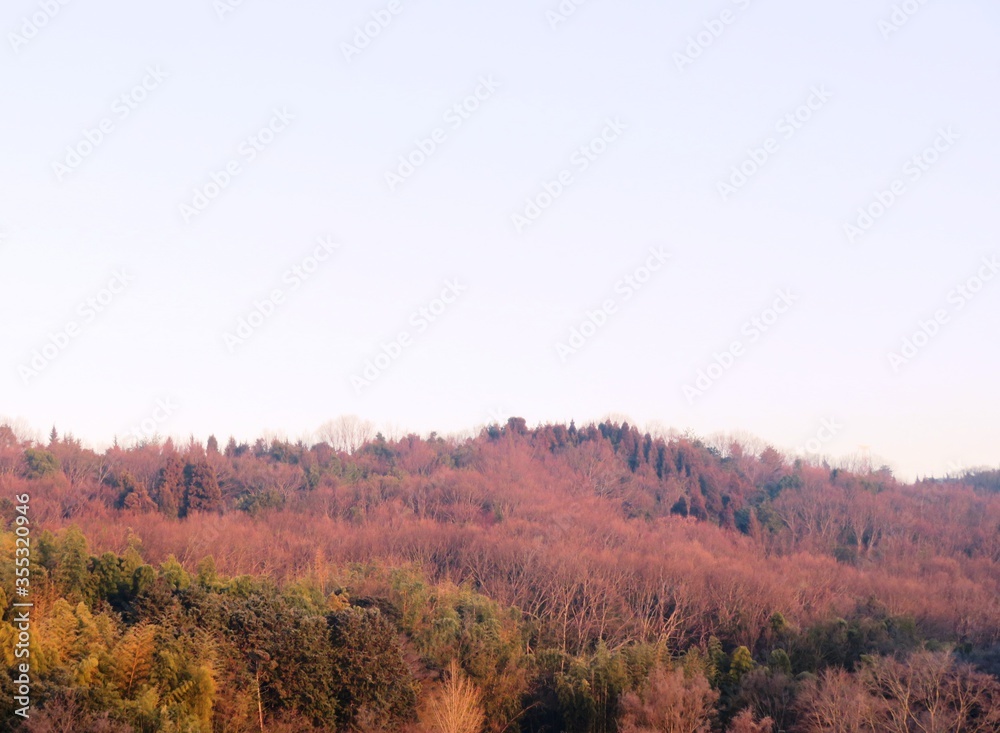 日本の田舎の風景　1月　真冬の朝日と山の木々　朝焼け