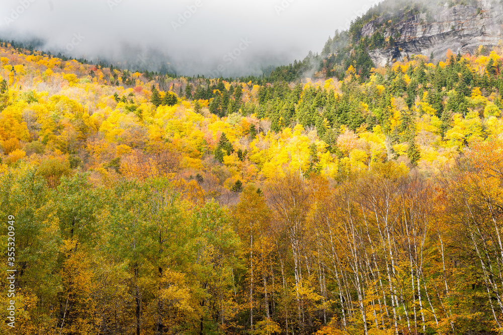 Clouds roll into valley of brilliant fall colored forest bewteen high rocky bluffs.