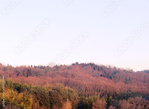 日本の田舎の風景 1月 真冬の朝日と山の木々 朝焼け