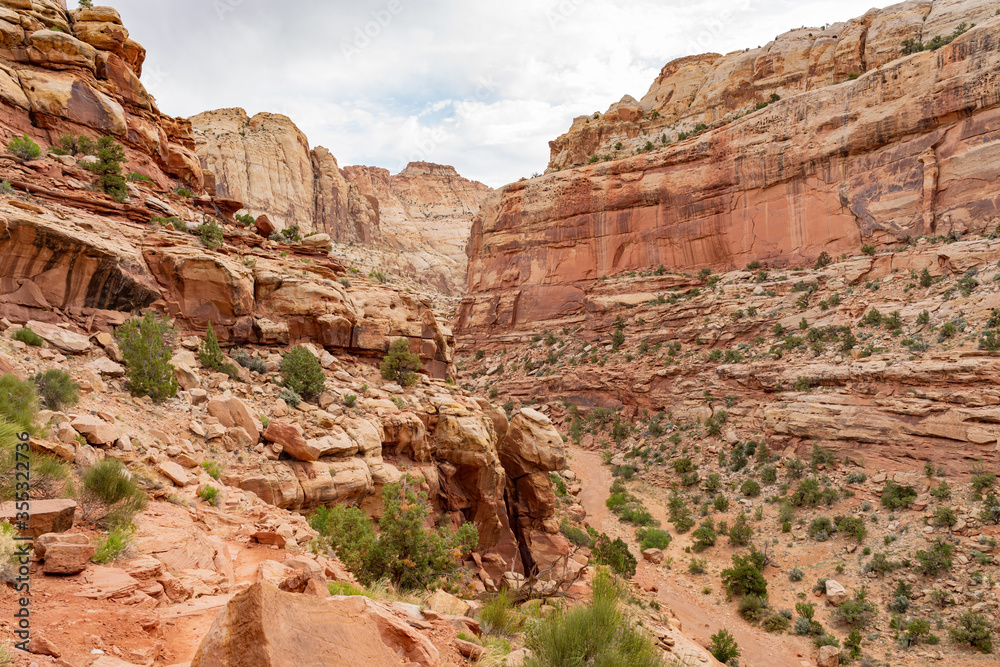 Beautiful landscape along the Cassidy Arch Trail of Capitol Reef National Park