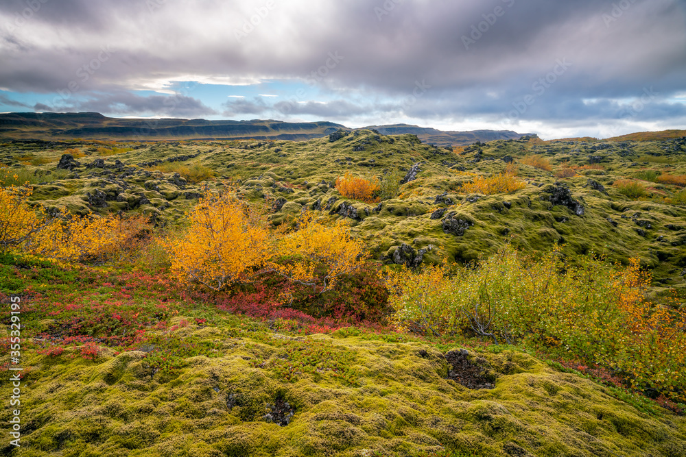 Iceland beautiful landscape, Icelandic nature landscape.