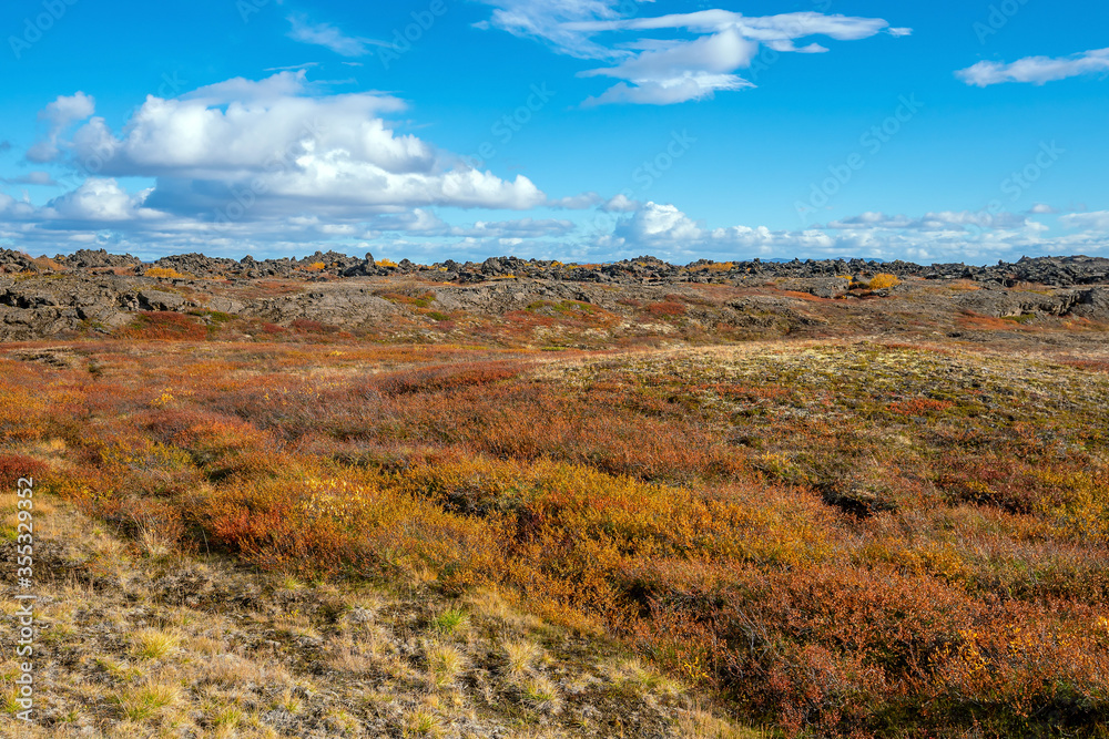 Iceland beautiful landscape, Icelandic nature landscape. Iceland beautiful landscape, Icelandic nature landscape.