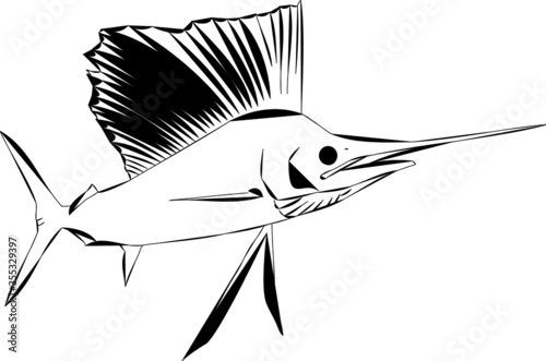 Black outlined sailfish