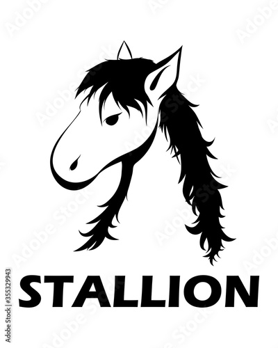 Black line vector illustration cartoon on a white background of a horse head.