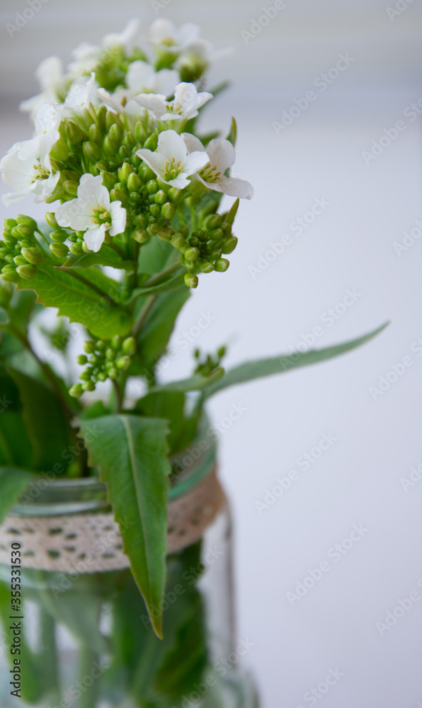 wild white medium-sized flowers in a glass jar on a white windowsill wild white medium-sized flowers in a glass jar on a white windowsill